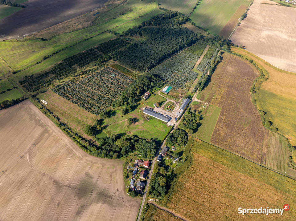 Działka inwestycyjna 18 działek pod zabudowę Sprzedaż wielkopolskie