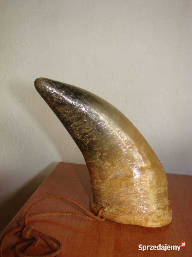 róg do picia pomorskie Pruszcz Gdański