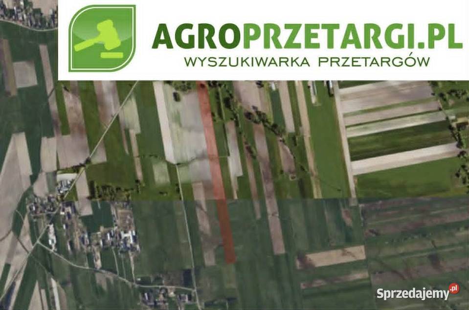 Dzierżawa 905 ha gruntu rolnego Łowicz sprzedam