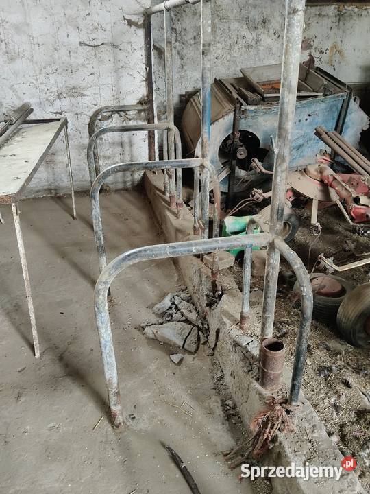 Stanowiska bydła sprzedam