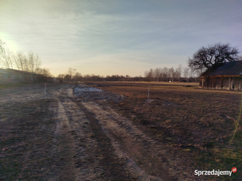 Działki budowlane 1200mkw Kozerki sprzedam