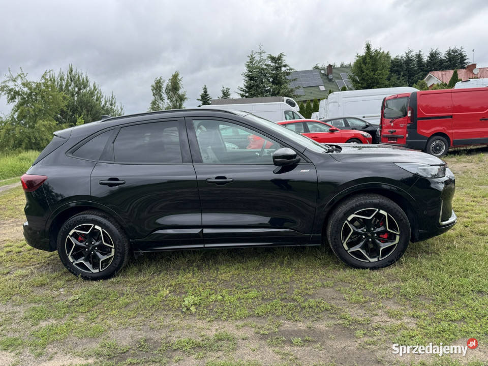 Ford Kuga 25Hybryda PlugIn 152 STLINE Automat 2x SUV
