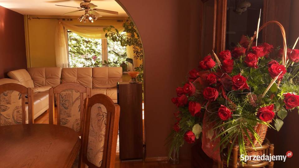 Kanapa rogówka ze skóry stan idealny Rybnik sprzedam