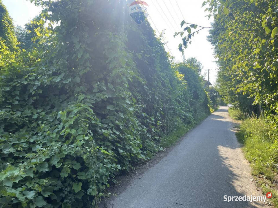 Działka budowlana Krzeczów NOWA BLACK WEEKS budowlana sprzedam