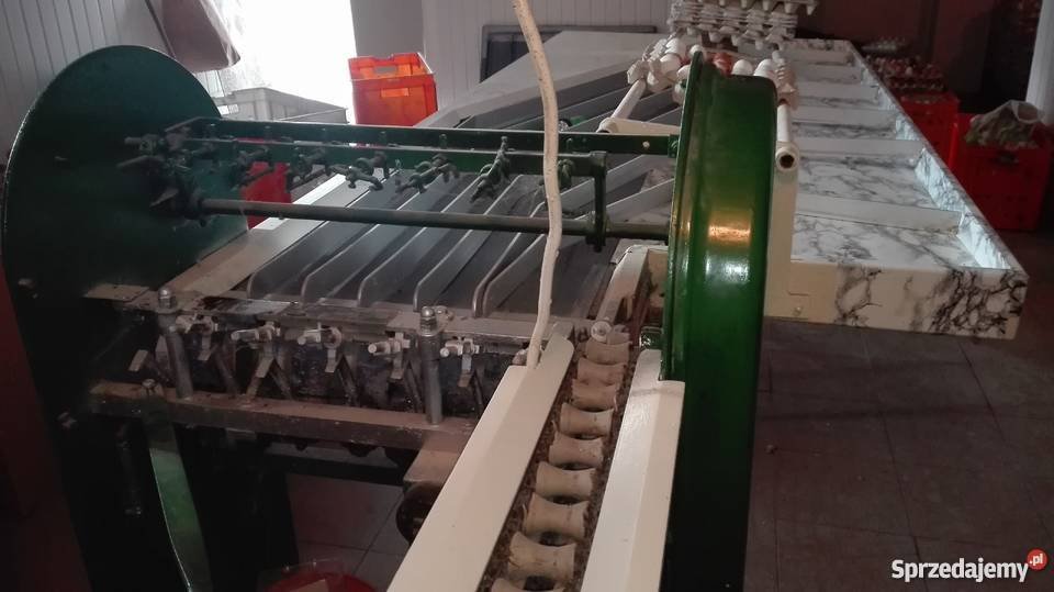 Sortownica do jaj jajek BENHIL Produkcja zwierzęca sprzedam