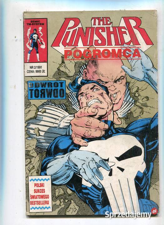 The Punisher Pogromca 21991 KOMIKS Pozostałe Szczecin