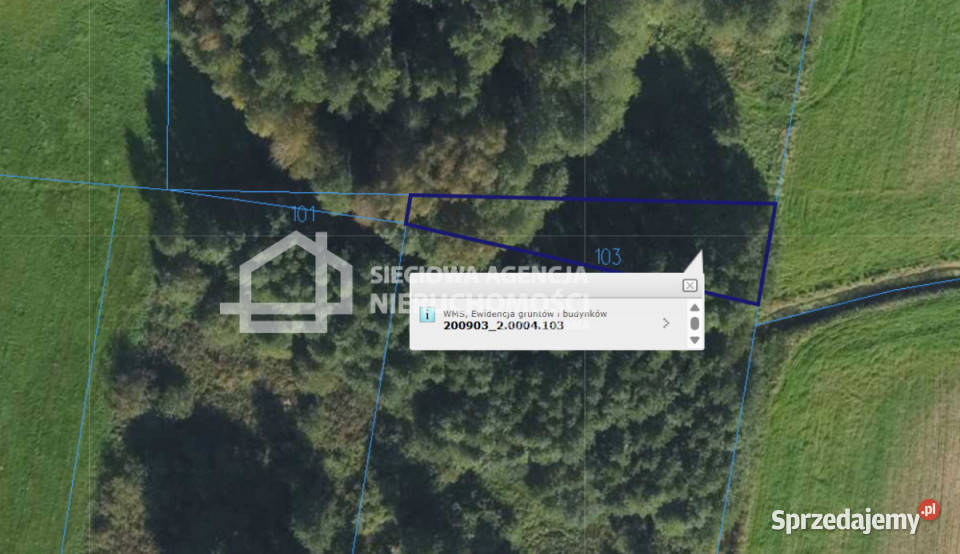 sprzedaży gruntu Buda Ruska 10120m2 51.5m