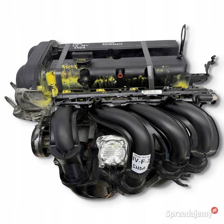 SILNIK Ford Focus II MK2 C C 16 16V 100