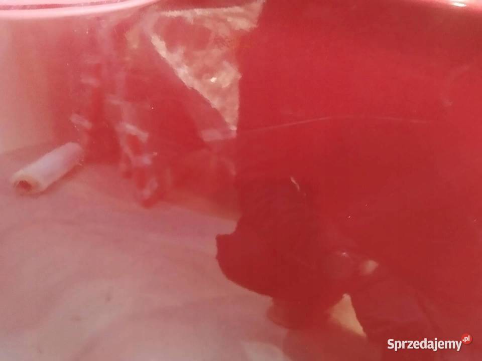 DRZWI PRAWE TYŁ KF Ford Galaxy Mk4 20152023 osobowe