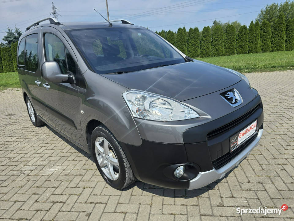 Peugeot Partner 16Benz 5 OsoboweTepee elektrochrom. lusterka boczne Kutno