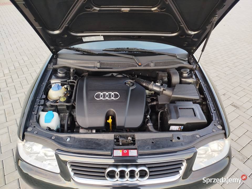 A3 8L 16 Benzyna 2003 5 drzwi Jeden właściciel Świdnik
