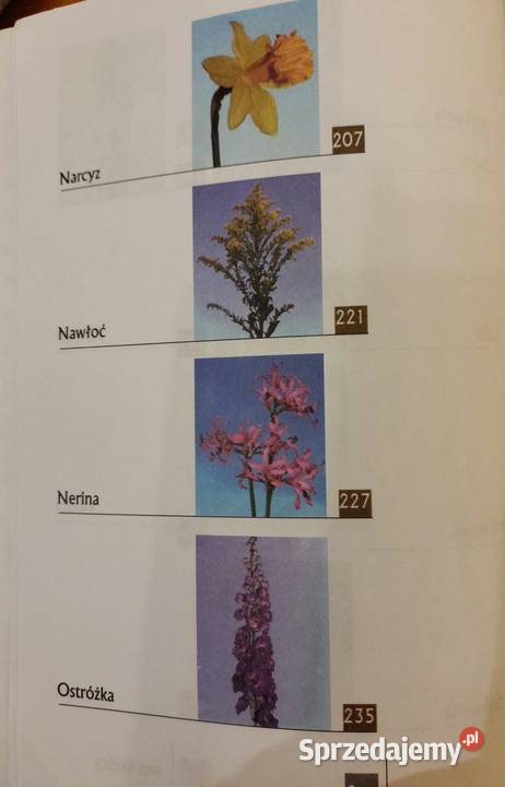 Kwiaty cięte uprawiane pod osłonami Marek Jerzy Rok wydania 2006 Wrocław