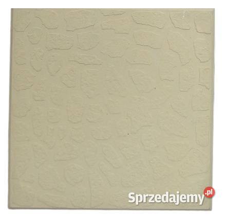 Forma lastriko płytka bruk brukowa 252525 CĘTKI opolskie Nysa sprzedam