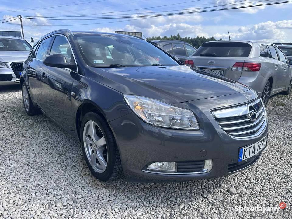 Opel Insignia Zadbana Bez Wkładu Finansowego Zarejestrowany w Polsce Ładna