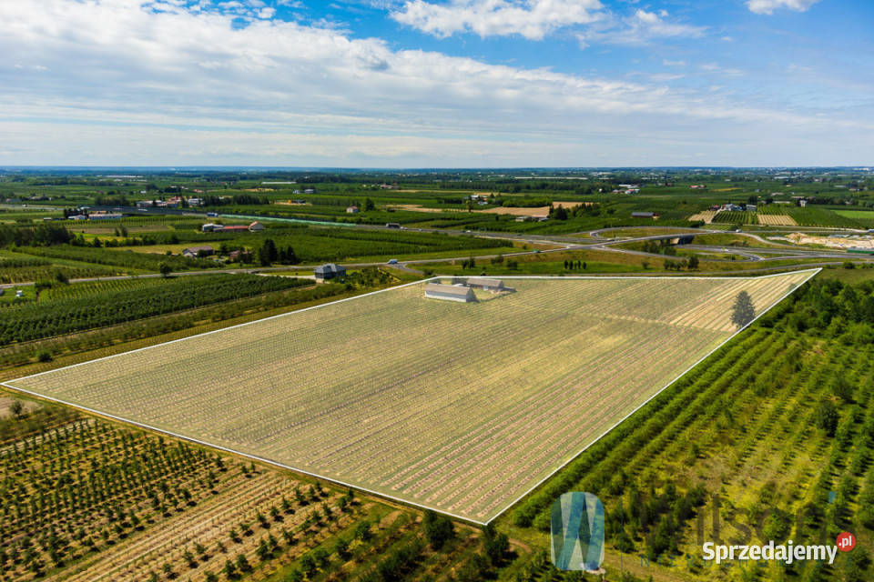 sprzedaży gruntu 56500m2 Józefów sprzedam