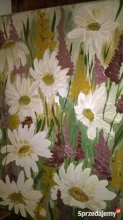 Obraz akryl Łąka Oleśnica