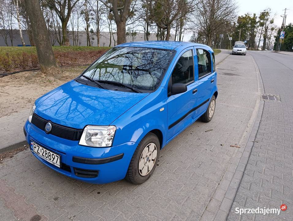 Panda super stan 4/5 Panda wielkopolskie