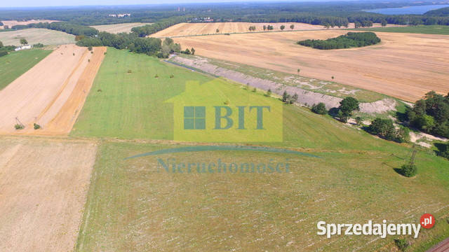 Działka z widokiem panoramicznym Sprzedaż Złocieniec