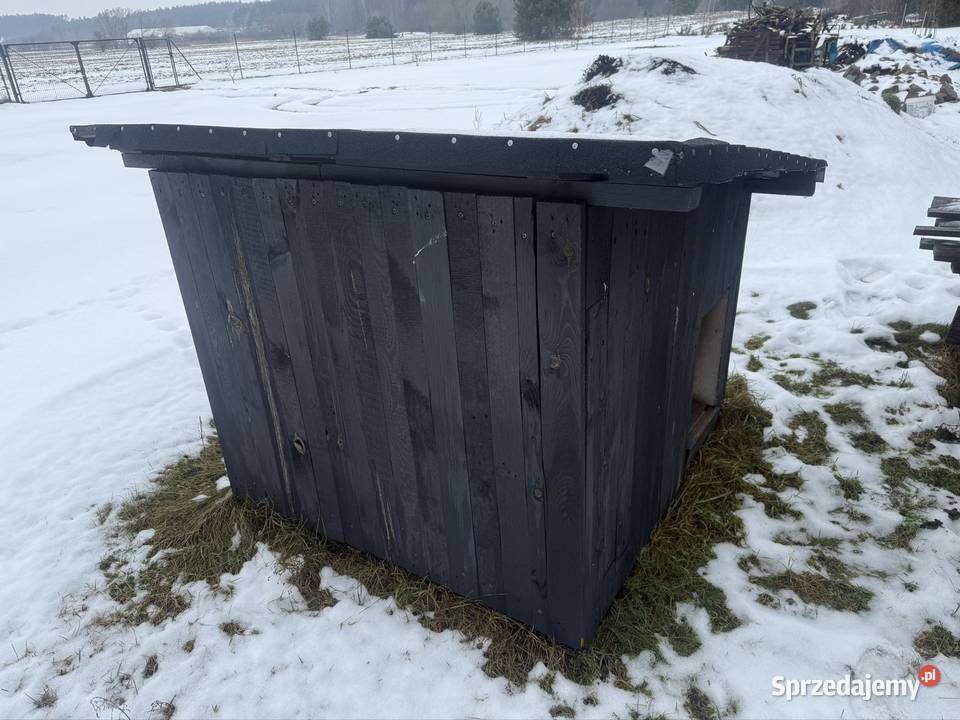 Buda psa duża Gorzów Wielkopolski