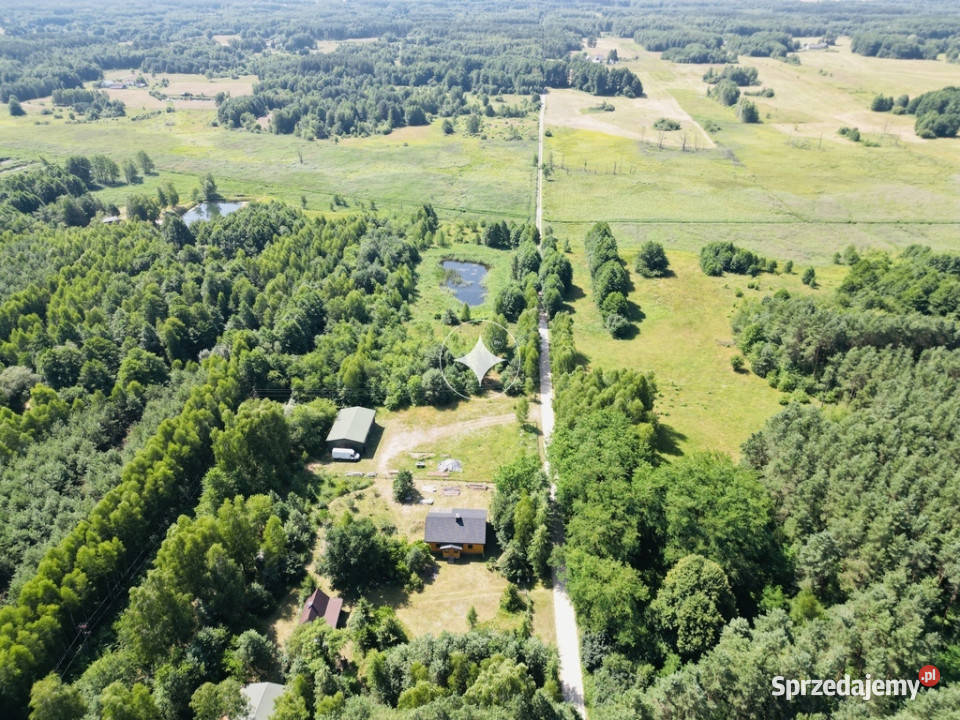 Urokliwy dom z działką lesie Mszanna-Kolonia sprzedam