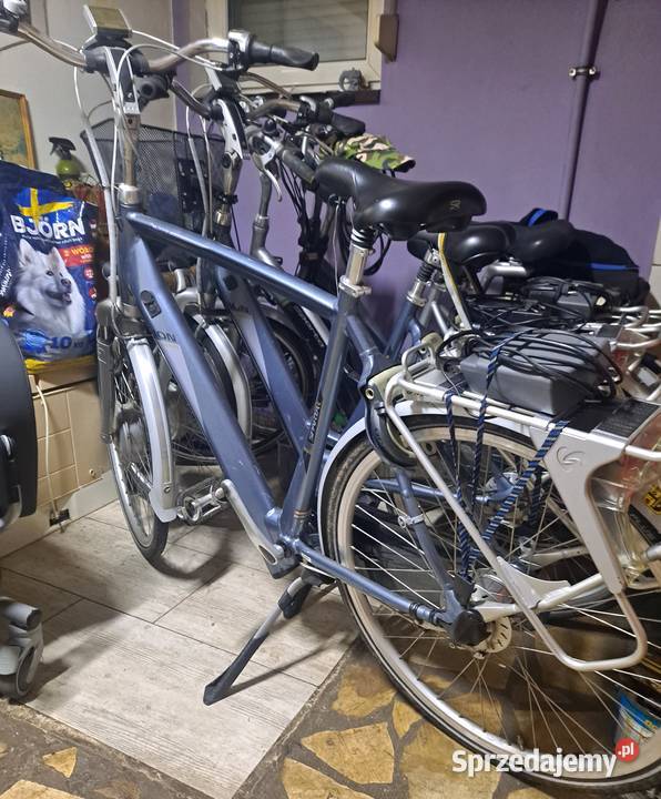 Damka elektryczna sparta w stanie Elektryczne Namysłów