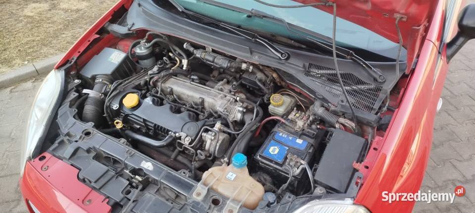 Fiat Punto 19JTD GIUGIARO Klima PANORAMA 6 bieg gniazdo USB mazowieckie