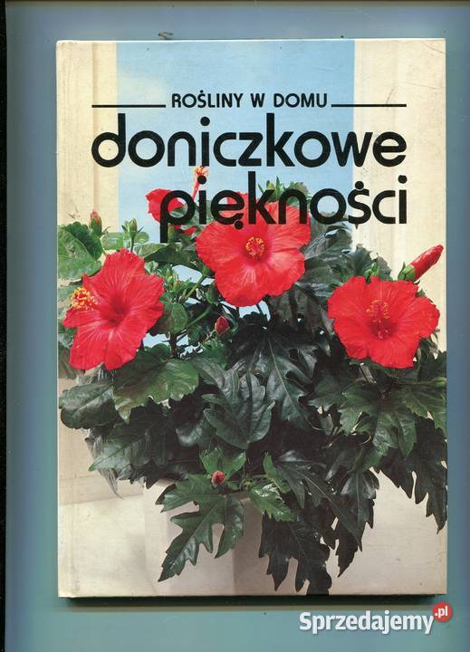 Doniczkowe piękności Szczecin