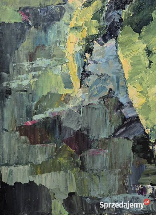 Piwonie Antyki, Sztuka, Kolekcje Gniezno sprzedam