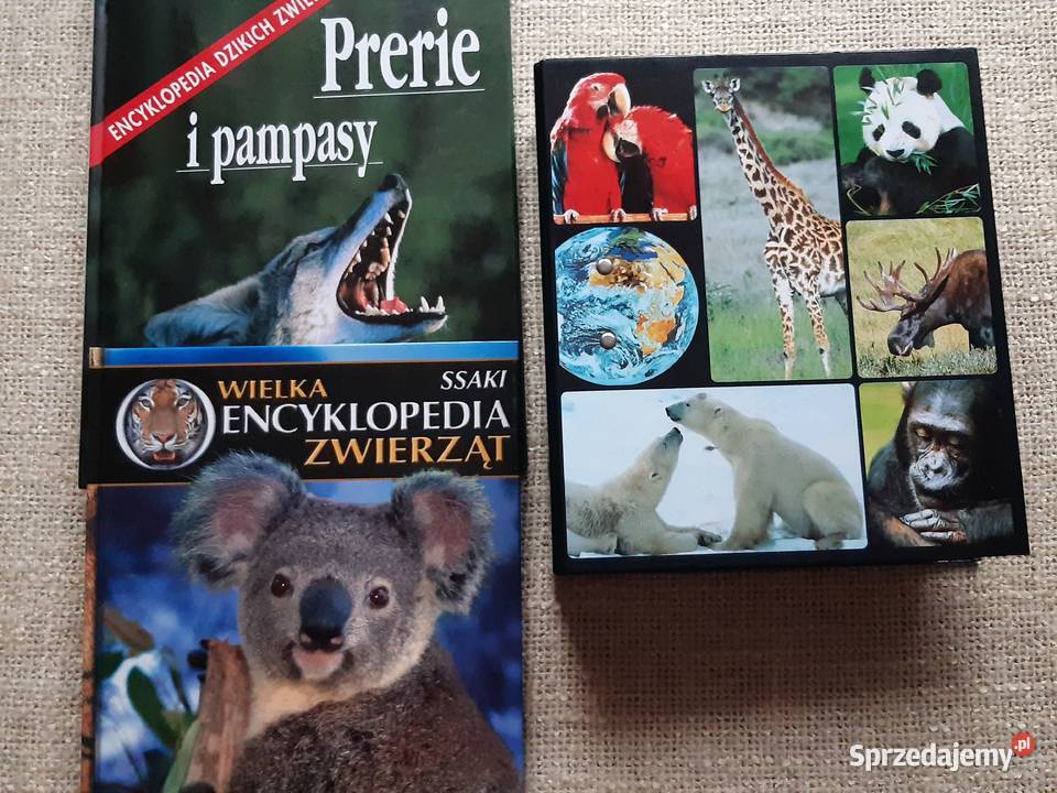 Plus Segregator z kartami zwierząt 2 Albumy małopolskie Kraków