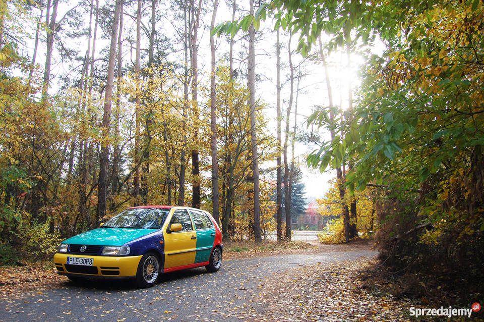 Vw Polo Harlekin nietuzinkowy mały skrzat Samochody osobowe Leszno