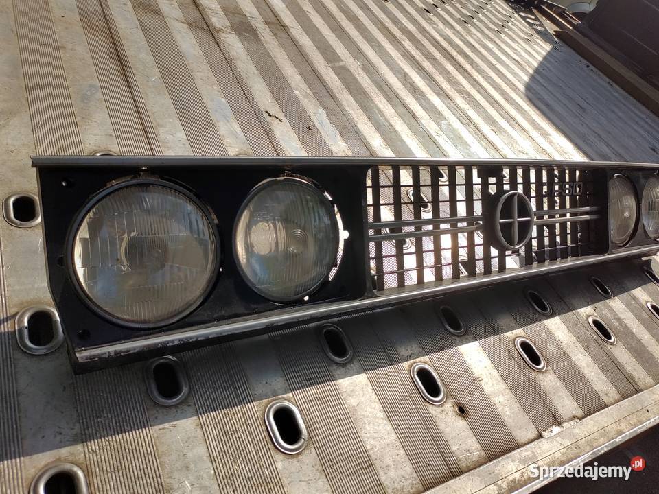 Grill Atrapa Polonez Borewicz 2 sztuki Szprotawa sprzedam
