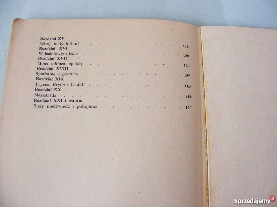 Bambi Przygody Filonka Bezogonka Autobus ogromny dla dzieci z klas I-III (6-9 lat)  Książki dla dzieci