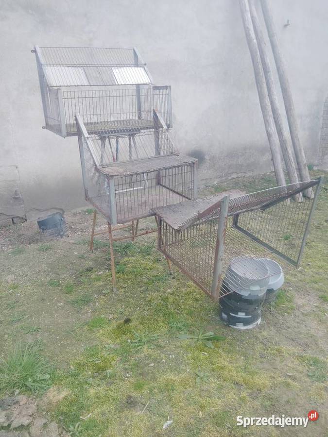 Sprzedam wloty do gołębi sprzedam