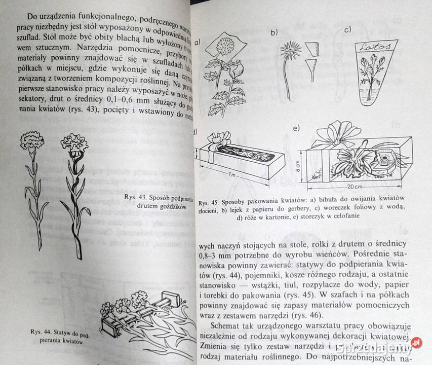 Dekoracje roślinne Miczyńska SzarkowskaHoffmann Chełm