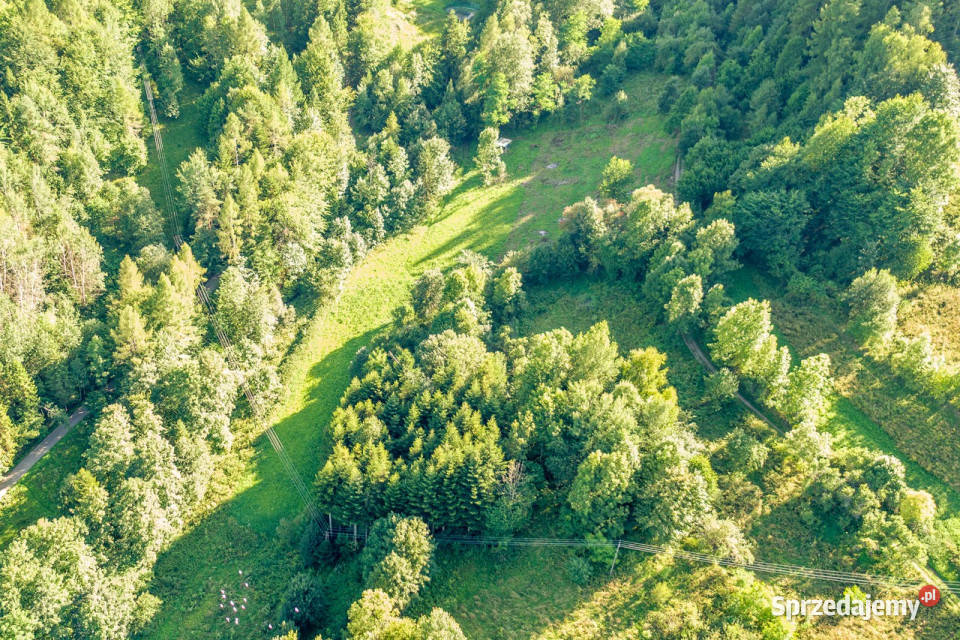 Działka Budowlana Tylmanowa sprzedam