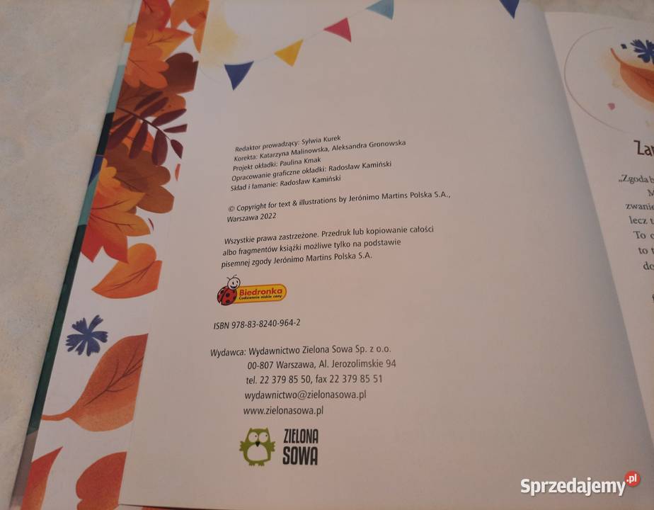 Gang Bystrzaków Razem można więcej Paulina Książki dla dzieci Czeladź