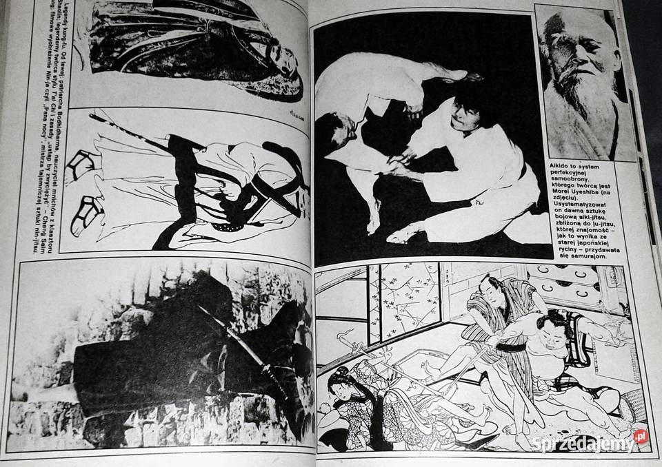 Tajemnice Kung Fu Marian Butrym Wisława Orlińska Rok wydania 1983 Pozostałe lubelskie Chełm