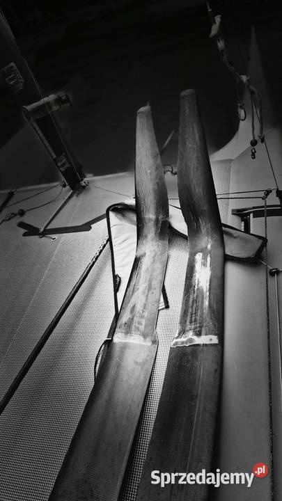 Katamaran EXPLODER AD3 z 2018 Wersja Foiling Sopot sprzedam