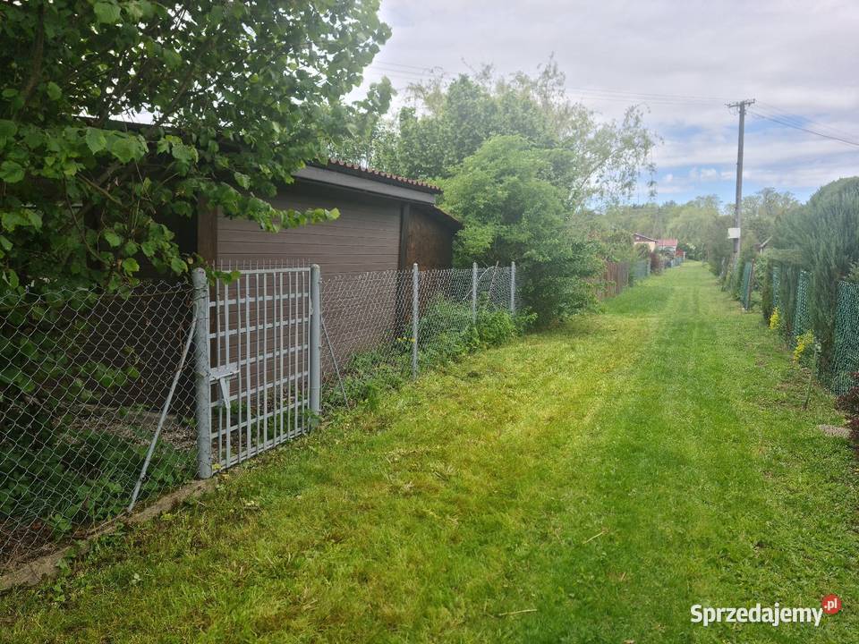 Działka ROD im J Kilińskiego w Staszowie świętokrzyskie Staszów sprzedam
