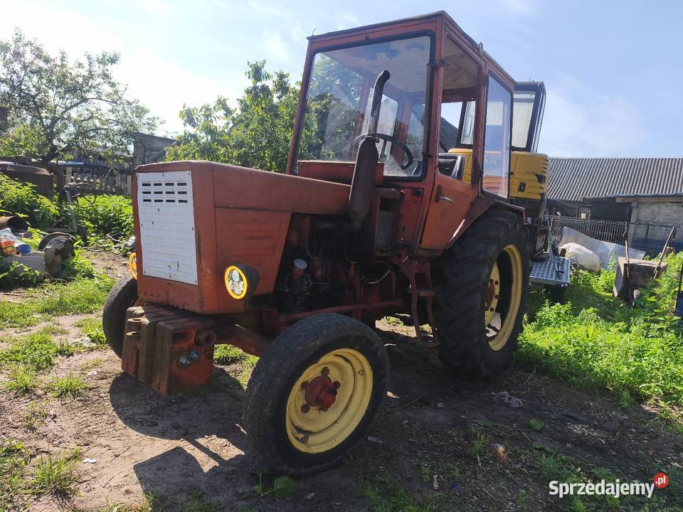Władek T25 A Prostyń
