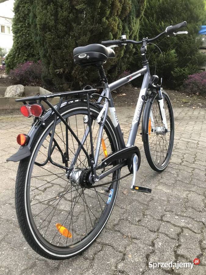 Rower Trekkingowy Pegasus Piazza Kranów