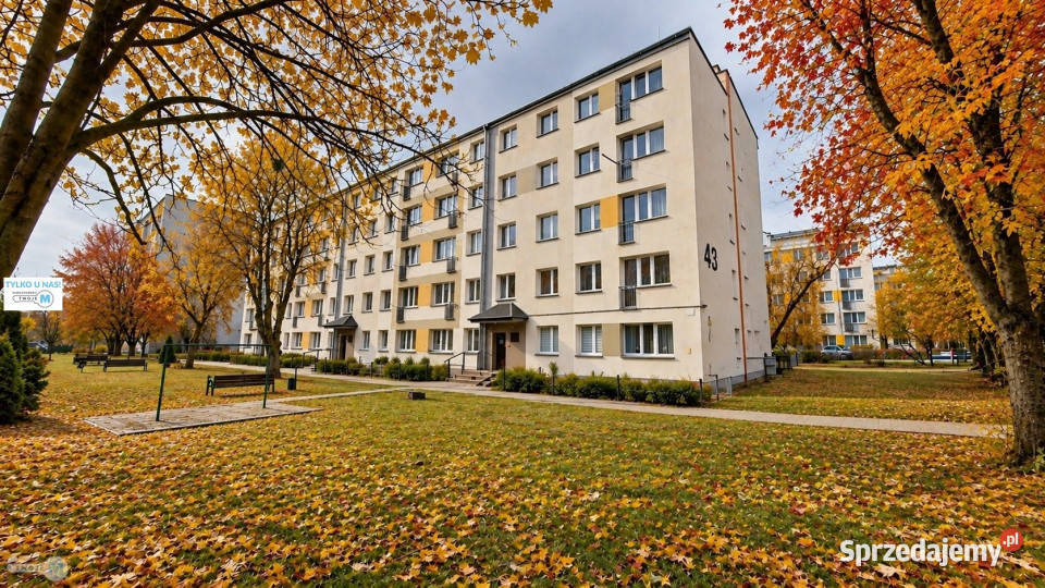 Mieszkanie 4554m2 3pokojowe Kielce