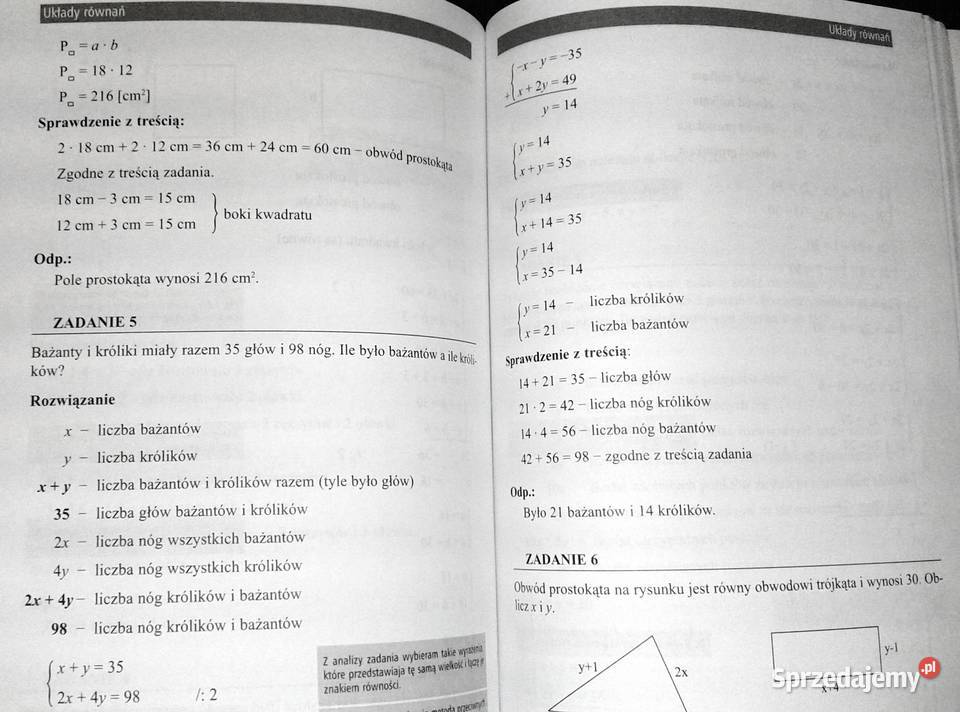 Matematyka korepetycje Kl 2 gimnazjum Zofia