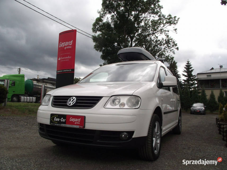 Volkswagen Caddy Maxi 7 osobowyMożliwość zamiany 1896cm3