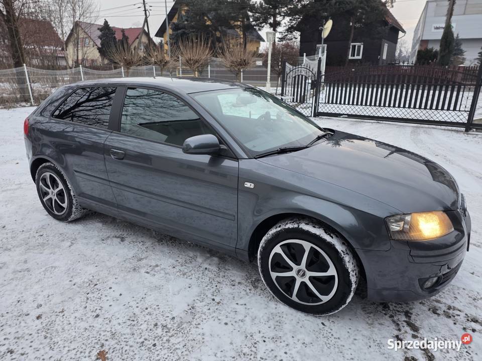 Audi A3 16 ben102 2007zadbany i serwis Audi Jelenia Góra