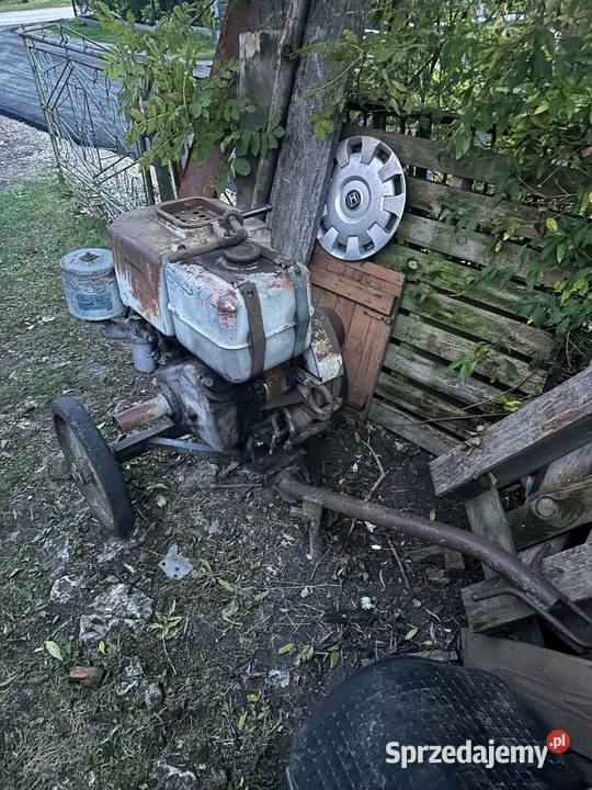 Silnik s231 świętokrzyskie Świniary sprzedam