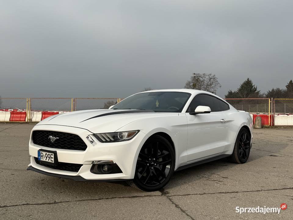 Ford Mustang 23EB 372hp premium performance nieuszkodzony Mińsk Mazowiecki sprzedam