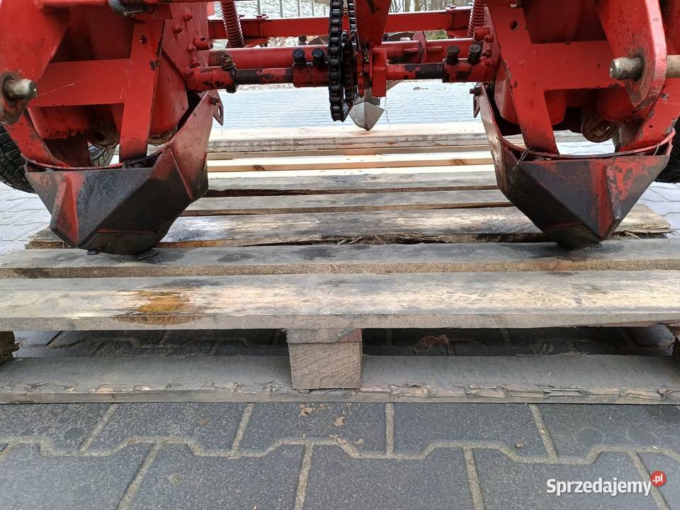 Sadzarka remprodex 2 rzędowa nie grimme gruse Grabów nad Prosną