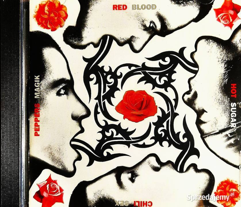 CD Nowy Album CD Zespołu ONE REPUBLIC Album 1 płyta Warszawa