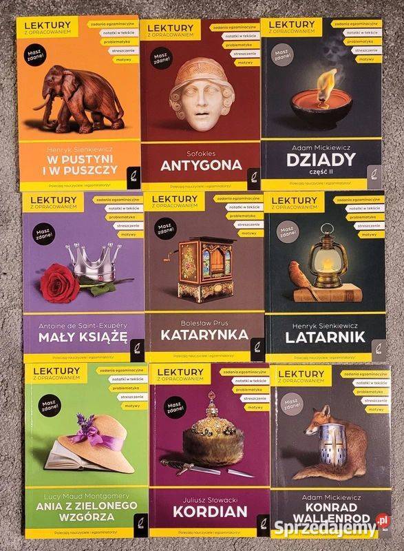 Lektury z opracowaniem Latarnik W pustyni mazowieckie